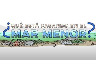 NUESTRO MAR MENOR……¿Y AHORA QUÉ HACEMOS?